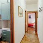 Rent 2 bedroom apartment of 55 m² in Udine