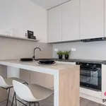 Rent 1 bedroom apartment in Prague