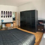 Rent 2 bedroom apartment of 190 m² in Dusseldorf