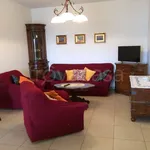 Rent 4 bedroom apartment of 110 m² in Pineto