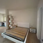 Rent 1 bedroom apartment of 50 m² in Villanova Mondovì