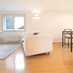 Rent 2 bedroom apartment of 54 m² in Prague