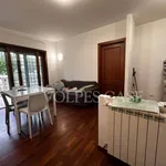 Rent 2 bedroom apartment of 50 m² in Rome