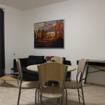 Rent 1 bedroom apartment of 43 m² in Brno