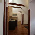 Rent 2 bedroom apartment of 38 m² in Zamość