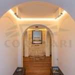 Rent 1 bedroom apartment of 150 m² in ROMA