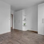 Rent 3 bedroom apartment of 79 m² in Staré Město