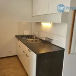 Rent 1 bedroom apartment in Brno