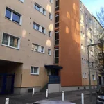 Miete 1 Schlafzimmer wohnung von 31 m² in Berlin