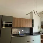 Rent 1 bedroom apartment of 56 m² in milan