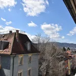 Rent 1 bedroom apartment of 30 m² in Zürich