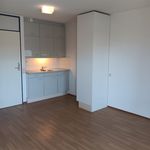 Rent 2 bedroom apartment of 35 m² in Wessem