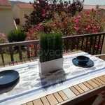 Rent 2 bedroom apartment of 40 m² in Arzachena