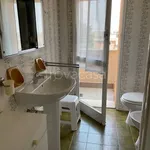 Rent 4 bedroom apartment of 120 m² in Bologna