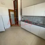 Affitto 4 camera appartamento di 160 m² in Padova