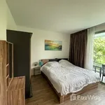 Rent 1 bedroom house of 33 m² in Phuket