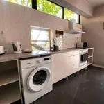 Rent 12 bedroom apartment in Porto