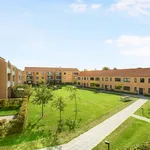 Rent 3 bedroom apartment of 90 m² in Roskilde