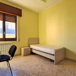 Rent 3 bedroom apartment of 80 m² in catanzaro