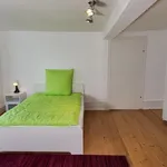 Rent 5 bedroom apartment of 161 m² in Schöneck