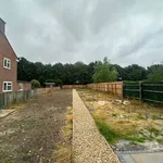 Rent 4 bedroom house in East Of England