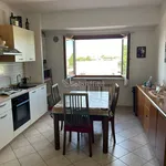 Rent 2 bedroom apartment of 42 m² in Pomezia