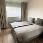 Rent 3 bedroom apartment of 95 m² in Amsterdam