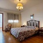 Alquilo 3 dormitorio apartamento de 140 m² en Las Palmas de Gran Canaria