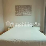 Rent 3 bedroom apartment of 110 m² in Turin