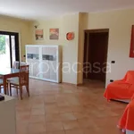 Rent 3 bedroom apartment of 95 m² in Belvedere Marittimo