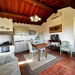 Rent 2 bedroom apartment of 50 m² in Scandicci