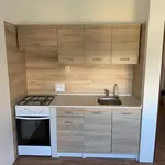 Rent 1 bedroom apartment in Plzeň-sever