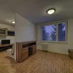 Rent 1 bedroom apartment of 37 m² in Poděbrady