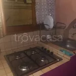 Rent 1 bedroom apartment of 25 m² in Foligno