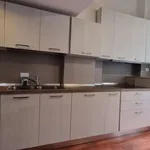 Rent 1 bedroom apartment in milan