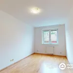 Rent 4 bedroom apartment of 76 m² in Brno