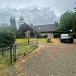 Rent 4 bedroom apartment of 120 m² in Appel