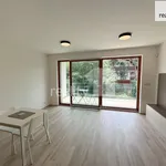 Pronajměte si 1 ložnic/e byt o rozloze 41 m² v Capital City of Prague