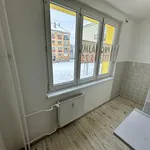 Pronájem bytu 2+1 49m²