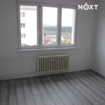 Rent 2 bedroom apartment in Sokolov