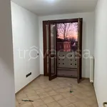 Affitto 3 camera appartamento di 80 m² in Sissa Trecasali