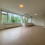 Rent 3 bedroom apartment of 70 m² in Bedrijventerrein Voorhof