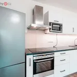 Rent 2 bedroom apartment of 48 m² in Jindřichův Hradec