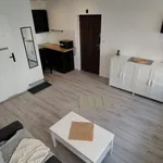 Rent 1 bedroom apartment of 24 m² in ul. Mikołaja Reja