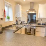 Rent 1 bedroom flat in Brighton