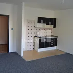 Rent 1 bedroom apartment of 35 m² in Ústí nad Labem