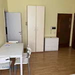 Rent 1 bedroom apartment of 30 m² in Milano