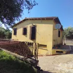 Affittasi Villa, Marino Via Capo D'Acqua Villino con giardino - Annunci Marino (Roma) - Rif.581584