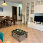 Rent 4 bedroom apartment of 120 m² in Udine