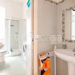 Rent 3 bedroom apartment of 90 m² in Roma